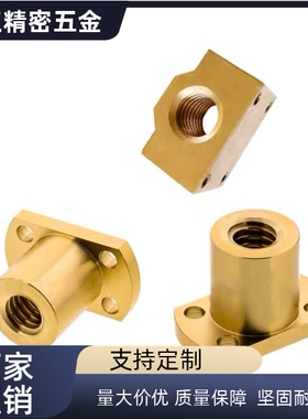 NSAR40/NSBR10/12/16/20/25/30/32/35/C-MTSBHRC丝杆14铜螺母