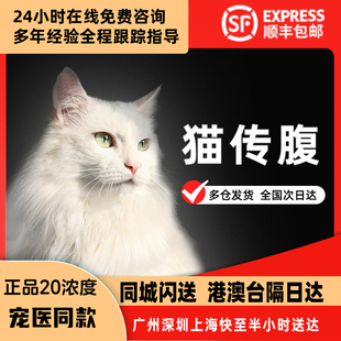 喵咪传腹针剂猫传腹片剂大肚子消腹水干性传染性腹膜炎湿性fipv