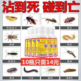 药粉儿童大人一扫光老式 除头虱子 六六杀虫粉祛除头虱克星专用药