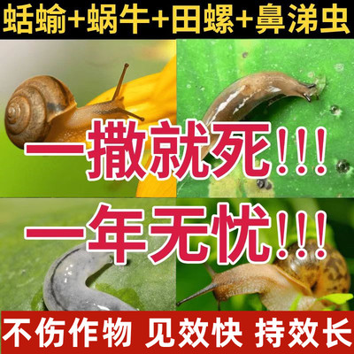 鼻涕虫专用药厨房灭蛞蝓杀虫剂家用除防菜地蜗牛黏黏虫克星非特效