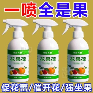 保花保果药防落果芒果荔枝桃李子果树保花保果坐果灵防落素叶面肥