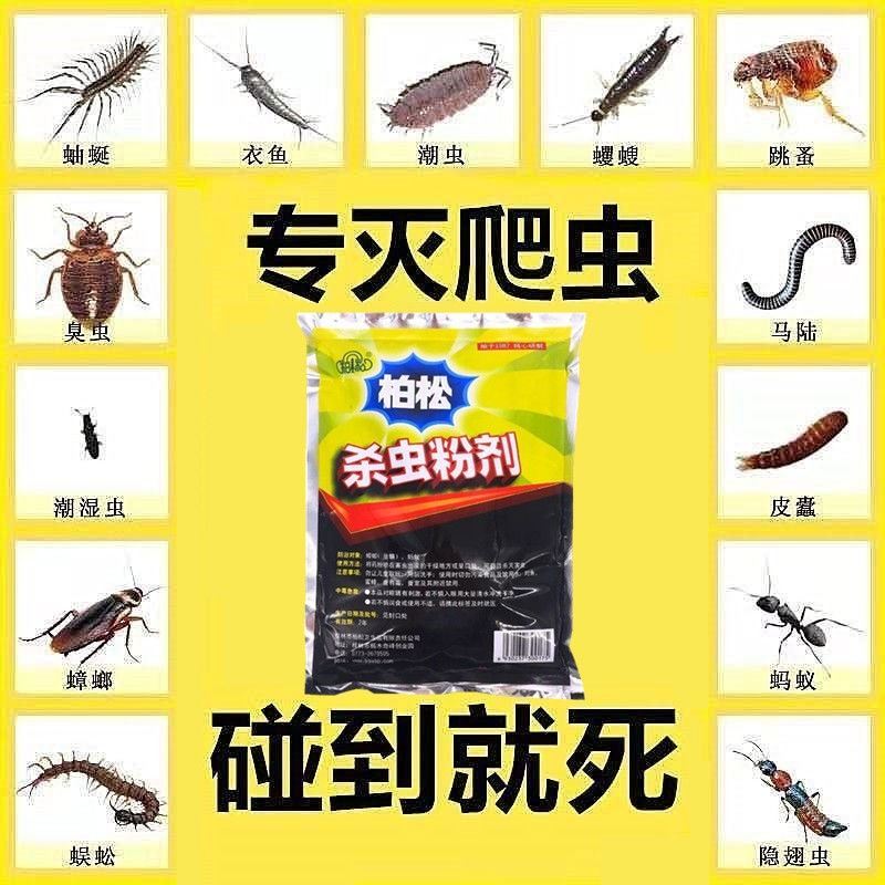 杀虫粉灭蚂蚁蟑螂潮虫蜈蚣跳蚤虱子药家用杀虫剂杀臭虫药10瓶柏松