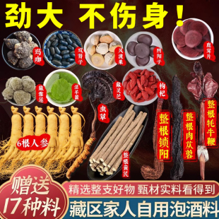 专用泡酒药材男用十全肾套装 泡酒材料配方大药酒补人参鹿茸泡酒料