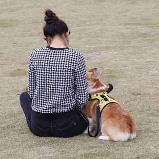 嬉皮狗狗狗牵引绳狗绳狗链子胸背带小中型犬遛狗绳可调节泰迪柯基