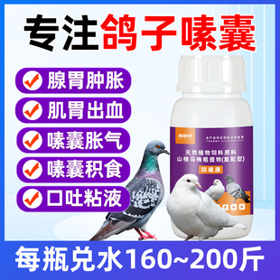 鸽嗉康赛鸽信鸽肉鸽家养鸽生长缓慢口吐粘液嗉囊积食腺胃肿大绿便