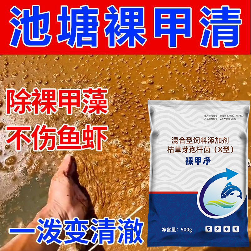 池塘除裸甲藻水红水褐色铁锈酱油水除油膜水产养殖净水除臭虾鱼塘