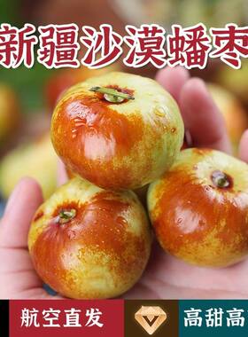 现摘现发新鲜沙漠蟠枣应季鲜果孕妇水果新疆阿克苏蟠枣沙漠苹果枣