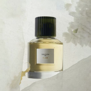 法国trudon香水Vixi苇汐绿意双生APHELIE李泰容同款香水试香小样