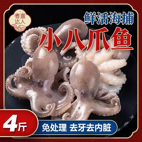 鲜活八爪鱼鲜活冷冻迷你小章鱼
