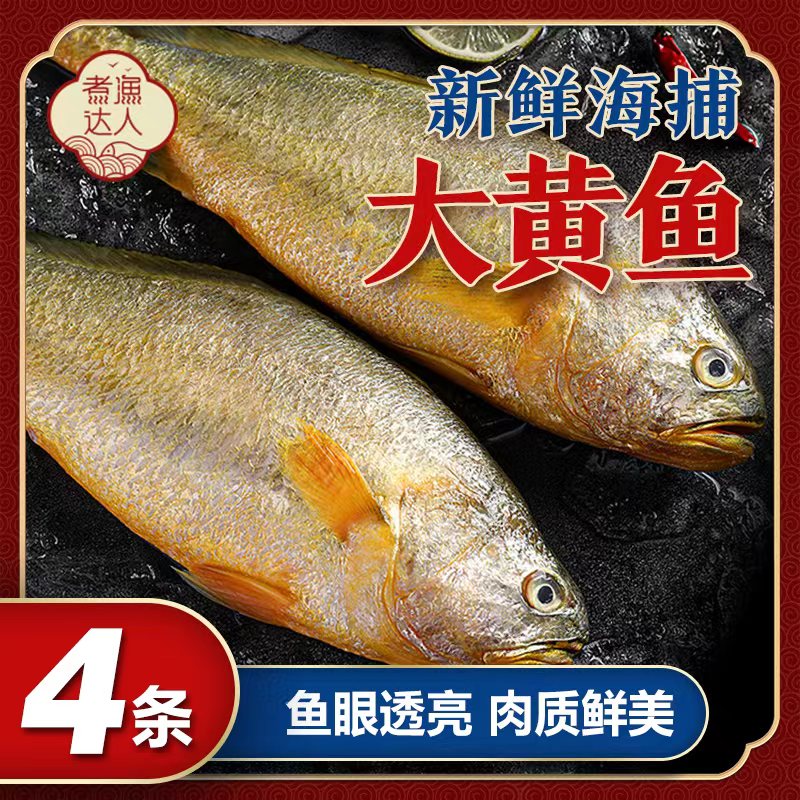 大黄鱼肉质鲜美深海4条