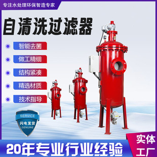 远高 全自动排污高精密过滤设备源头厂家 自清洗过滤器 电刷式