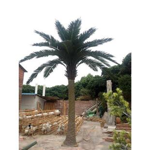 玻璃钢椰子树仿真椰子叶商场水上乐园公园广场设用场所多易搭配