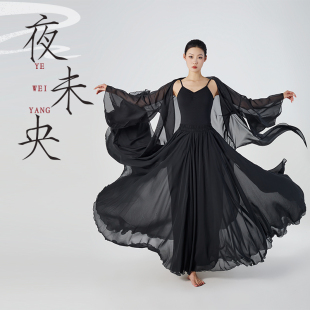 中国舞表演服 宽袖 中国风武侠风表演舞蹈服男女新中式 舞蹈纱衣长款