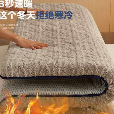 床垫软垫家用加厚榻榻米垫子羊羔绒床褥被12折叠双人15米18冬季
