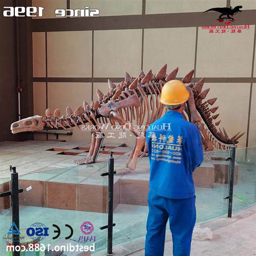 自贡大型仿真化石恐龙厂家恐龙化石骨架模型制作博物馆展览