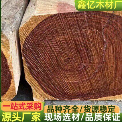 巴拿马阔扁豆 白酸枝 阔变豆 原木 木方 阔变豆木材 墨西哥阔扁豆
