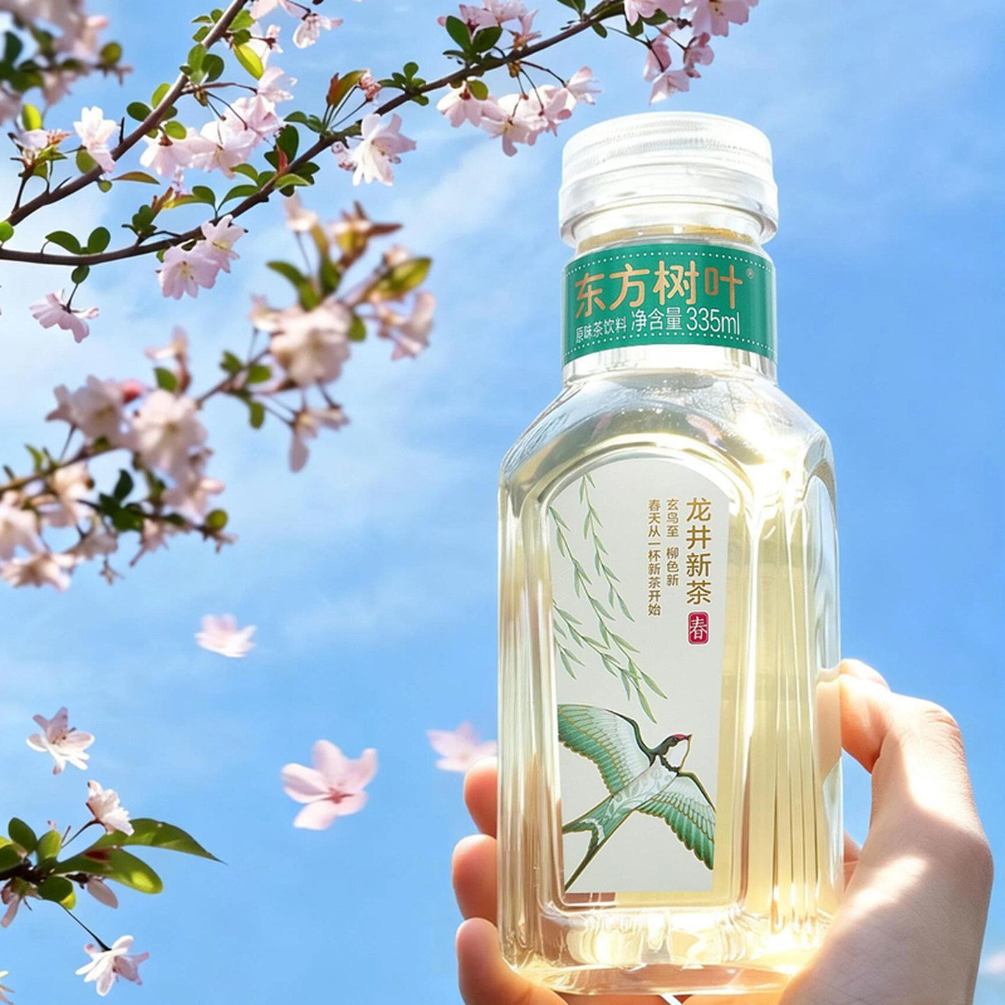 2026东方树叶龙井新茶春季限定新茶龙井绿茶无糖茶饮料新品上市图片