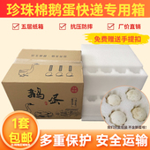 珍珠棉鹅蛋托12枚24枚装 盒快递专用运输泡沫纸箱防震防摔 鹅蛋包装