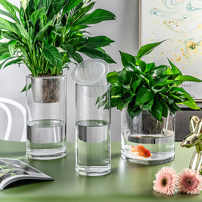 水培植物玻璃瓶透明直筒圆柱形花瓶简约绿萝白掌水养玻璃容器