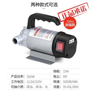 电动抽油泵小型12V24V220V伏柴油加油机正反抽油机自吸泵水油两用