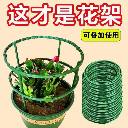 室内盆栽蟹爪兰莲花护叶花架