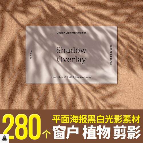 窗户植物树叶keyshot光影黑白剪影图 PNG免抠平面海报渲染PS素材