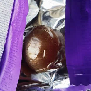 春节不打烊马来 黑金红蓝紫