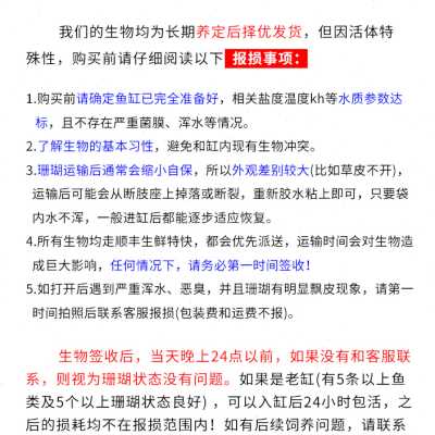 lpssps荧光绿瓦黄绿瓦片印尼断枝断肢断支属试水人工硬骨珊瑚m