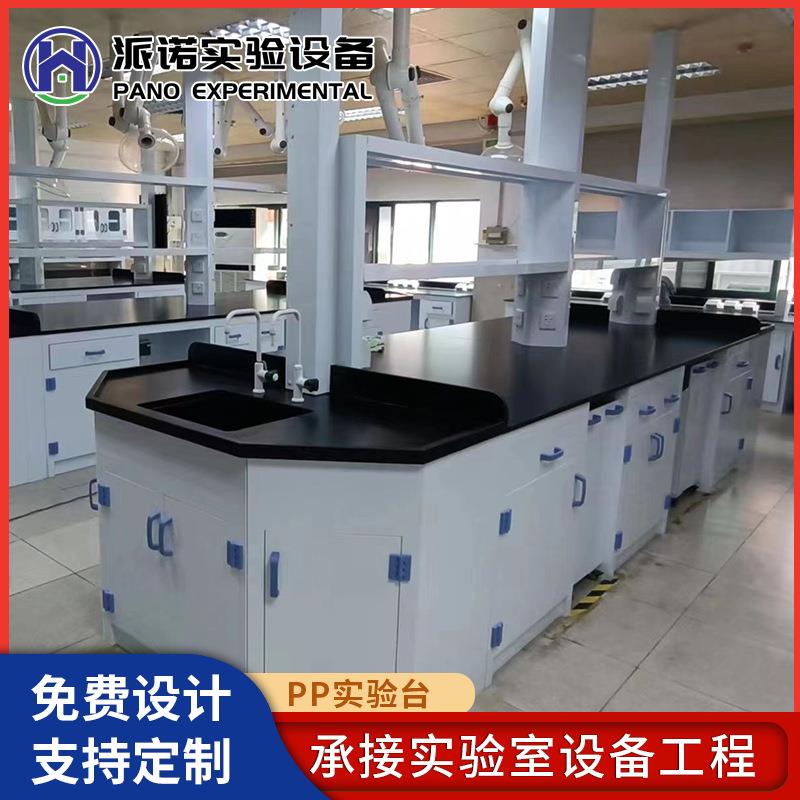 PP实验台医院学校化学物理钢木实验台全钢化验边台工作台