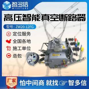 12FG ZW20高压真空断路器ZW20 630A智能隔离10KV户外零序柱上开关