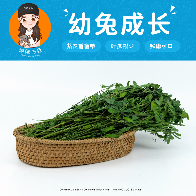 娜姐与兔【幼兔成长】苜蓿草
