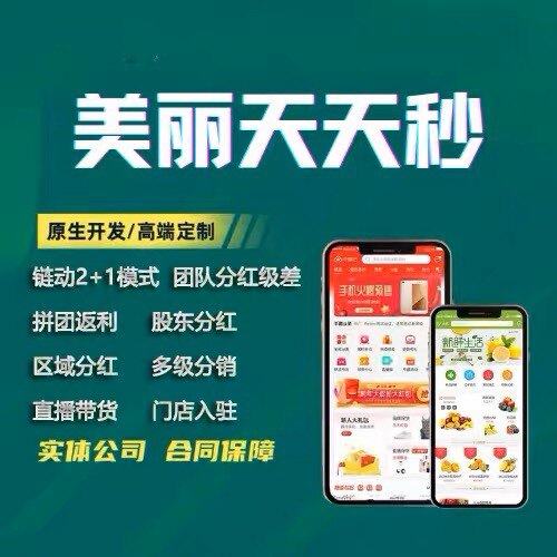 链动2+1分销商城美丽天天秒软件开发小程序源码搭建返利商城app
