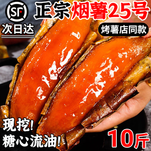 山东烟薯25号蜜薯糖心红薯新鲜10斤番薯农家沙地烤地瓜农科院山芋