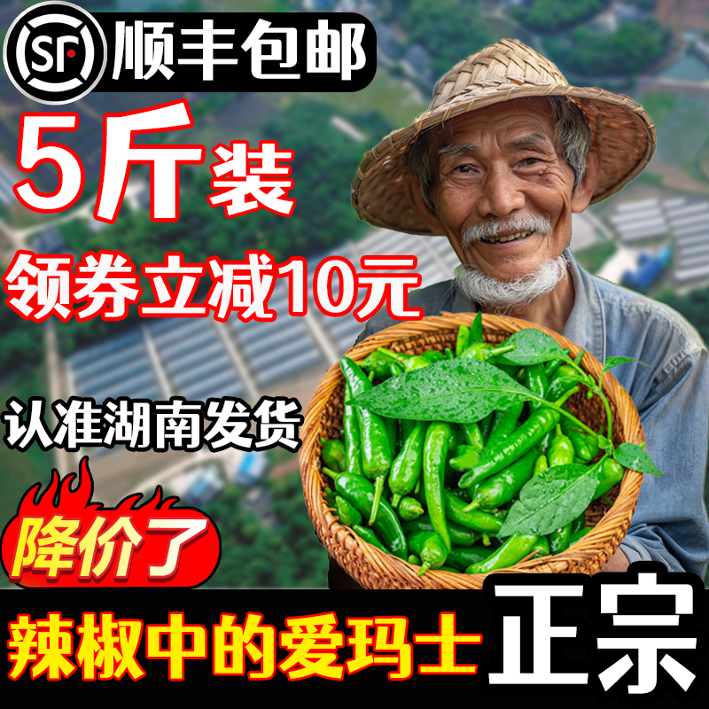 正宗湖南樟树港小辣椒9斤新鲜青辣椒现摘农家薄皮嫩青椒顺丰包邮5 水产肉类/新鲜蔬果/熟食 辣椒 原图主图