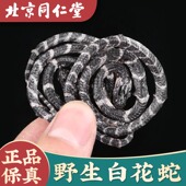 正宗特级白花蛇金钱白花蛇中药材小百花蛇一条 包邮 白花蛇干泡酒料