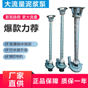 泥浆泵 污水泥浆泵 污水泵 厂家直销NL50 2.5 3KW立式 3寸口
