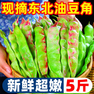 东北油豆角现摘新鲜5斤蔬菜黑龙江一点红油豆角东北特产整箱包邮