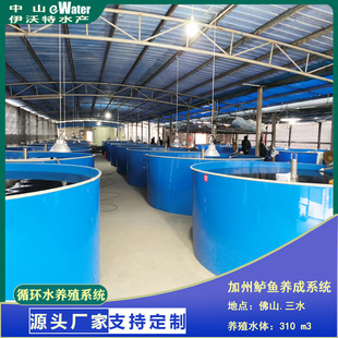 淡水鱼孵化标粗循环水养殖系统 高密度 工厂化循环水加州鲈养殖