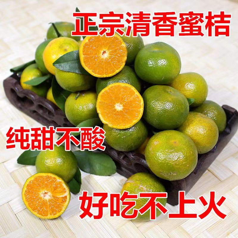 广西清香蜜桔清香茶橘新鲜现摘纯甜无酸多汁砂糖巴西柑沃青香蜜橘