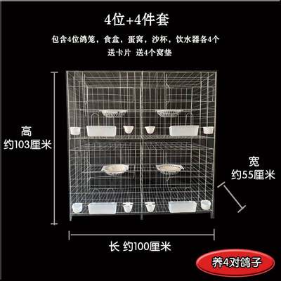 强晟鸽子笼加粗2位4位6位配对繁殖笼养殖笼巢箱家用阳台鸽笼包邮