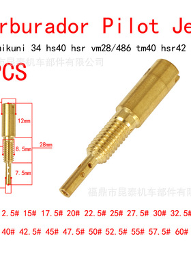 1PCS 化油器 10#-62.5# 副喷油嘴vm28/486量孔Pilot Jet For HSR
