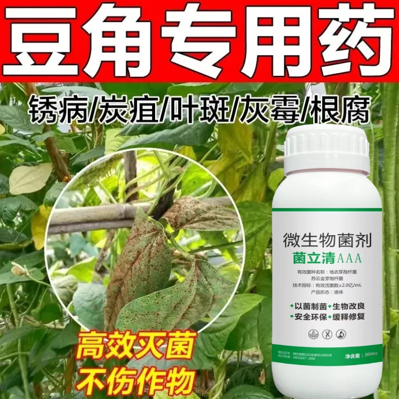 豆角病菌清锈病专用药微生物菌剂