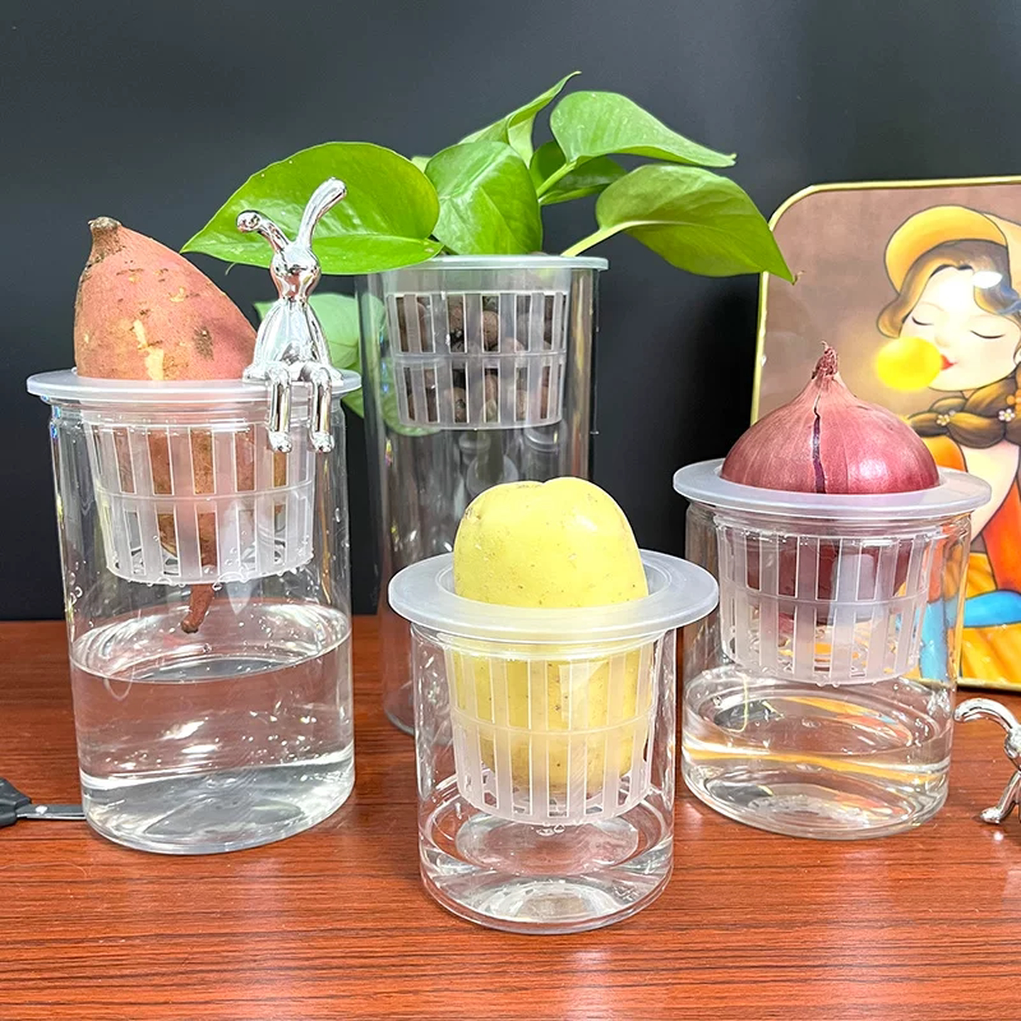 种植篮塑料水培水植物花瓶居家装饰蝴蝶兰绿萝盆桌面小尺寸种植盆