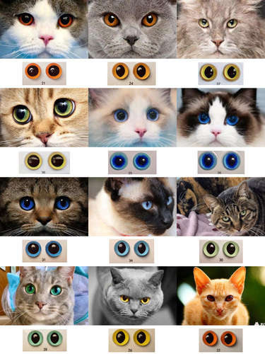 猫咪仿真眼睛 狗 动物仿真眼睛 玻璃半球 长风手作坊自制6～35mm