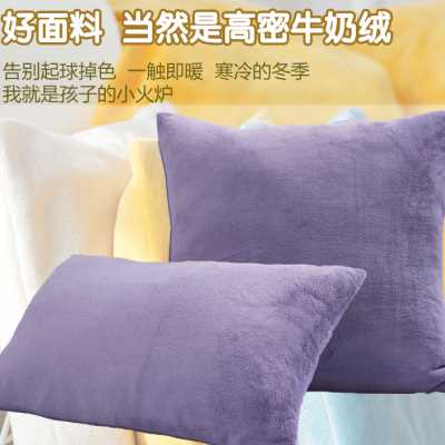 牛奶绒儿童枕套单个枕芯套定制婴儿宝宝秋冬季珊瑚绒25x40枕头套