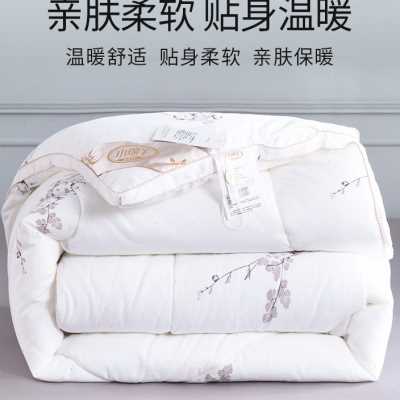 小绵羊亲肤立暖绒暖肤冬被芯加厚纯棉磨绒单双人春秋四季丝绵褥子