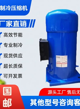 丹佛斯压缩机CH290A4BBA ABA适用于冷冻压缩机