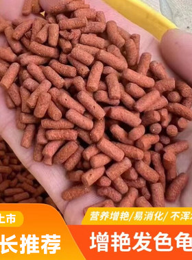 发色饲料龟粮/红面/巨头/窄桥/小青/斑纹/白唇/果核/头盔窄桥蛋龟
