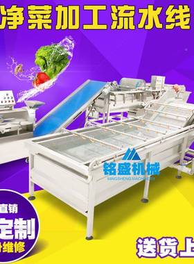 厂家应生姜清YWA洗风干线 鲜姜清洗风干干机 供大产量洗自动清风