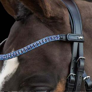 德国进口Schockemöhle 三排满钻眉革 马术用品 骑马装备马匹配件